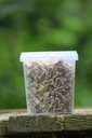 BOTJES LAM & RIJST