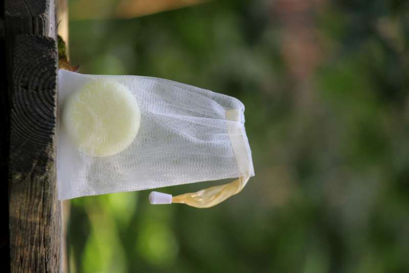 SHAMPOO BAR CITROEN