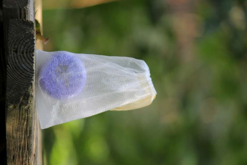 SHAMPOO BAR LAVENDEL