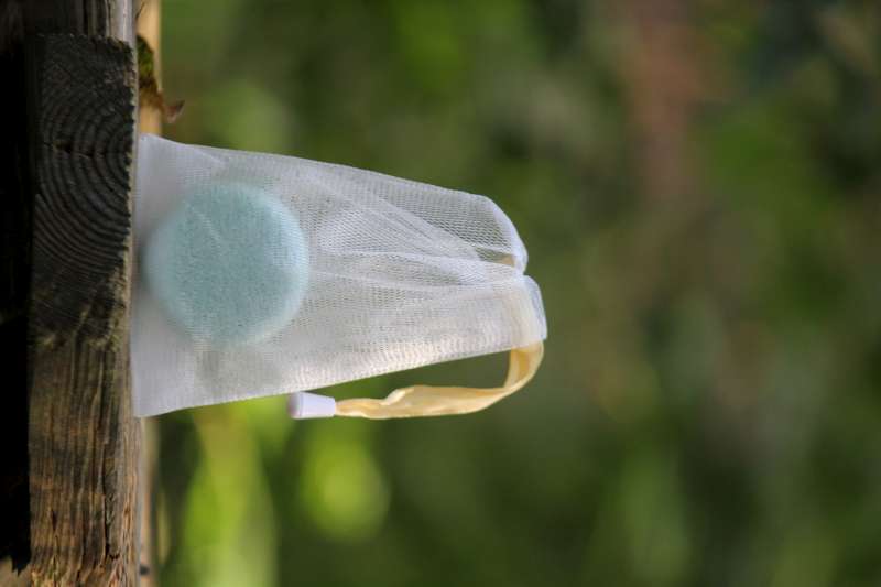 SHAMPOO BAR EUCALYPTUS