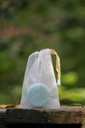 SHAMPOO BAR EUCALYPTUS