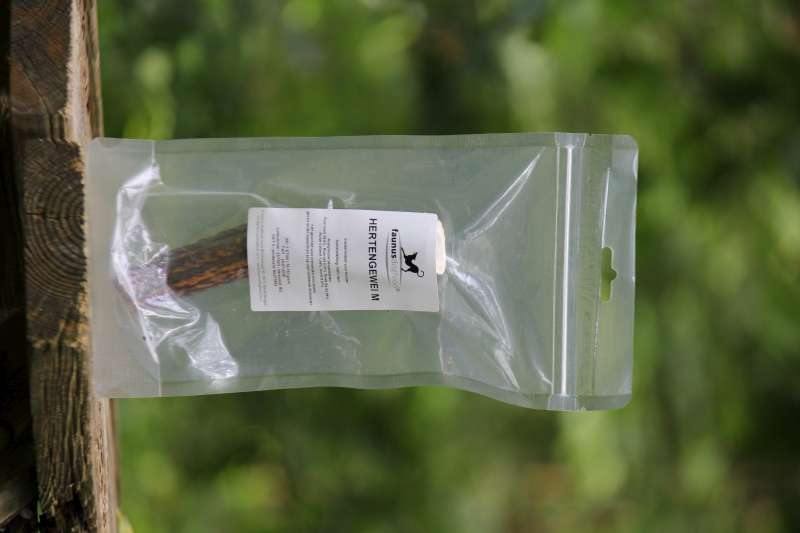 BOIS DE CERF M