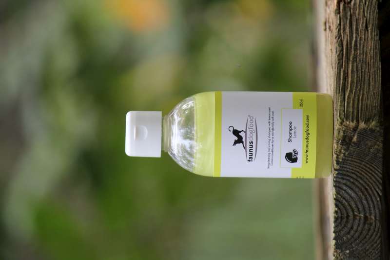SHAMPOO CITRON