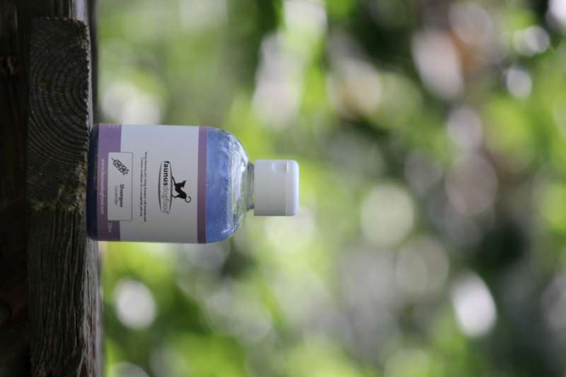 SHAMPOO LAVENDER
