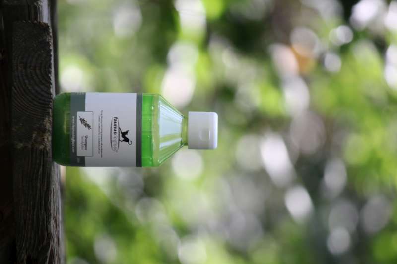 SHAMPOO EUKALYPTUS