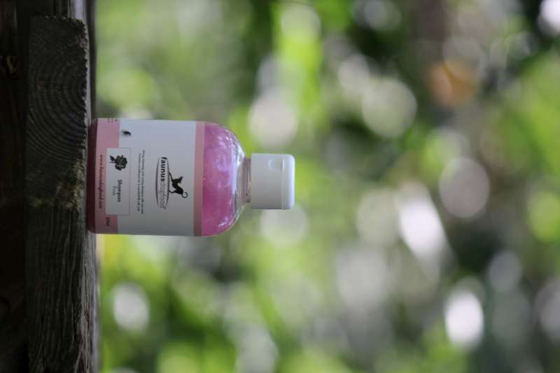 SHAMPOO ROSE