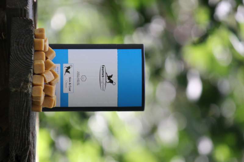 SKIN & COAT SOFT CHEWS