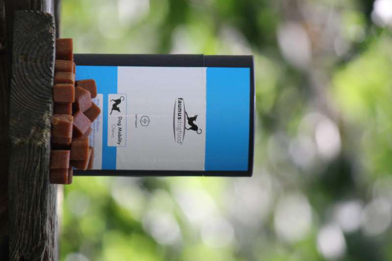 DOG MOBILITY SOFT CHEWS