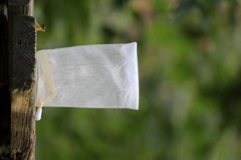 SHAMPOO BAR FOAM NET