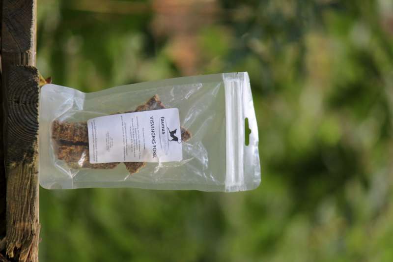 POISSON PANÉ TRUITE