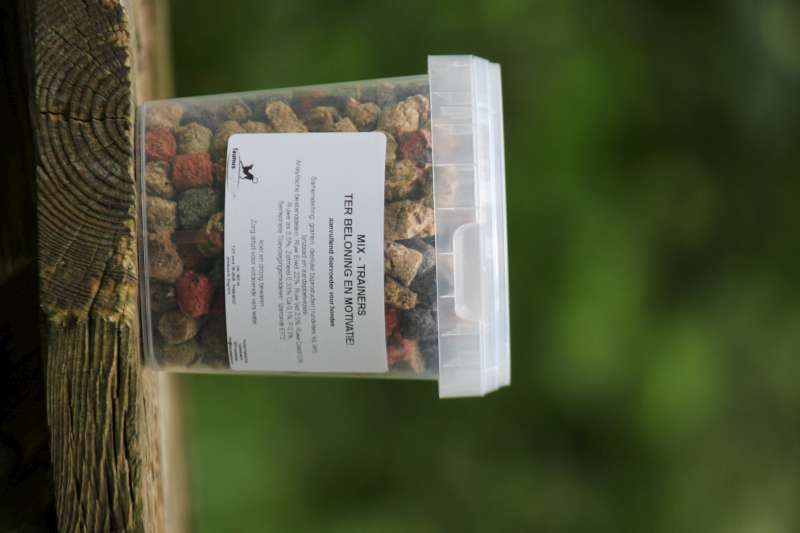 BELONING – TRAINER MIX