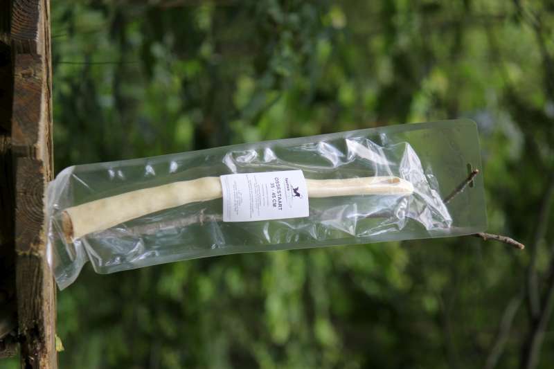 OSSENSTAART 35-45CM