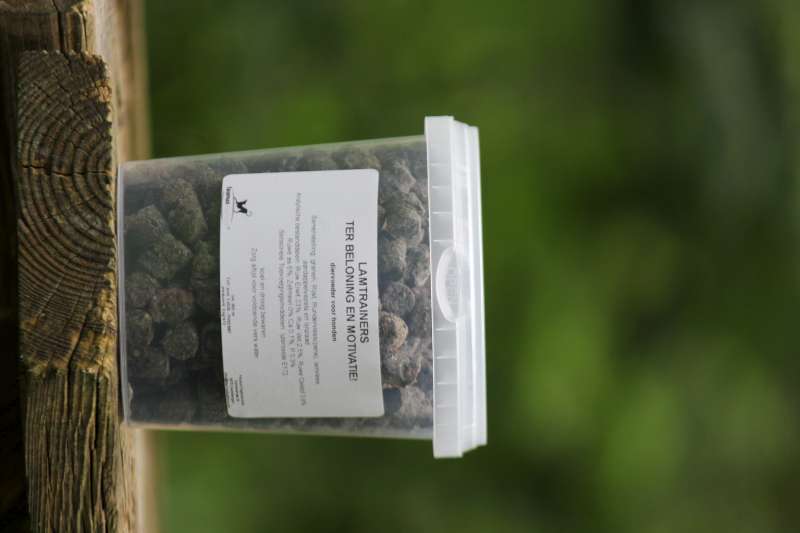 TREATS – TRAINER LAMB