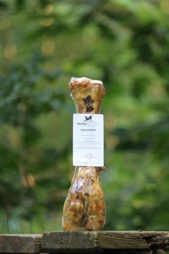 [KP] CALF LEG