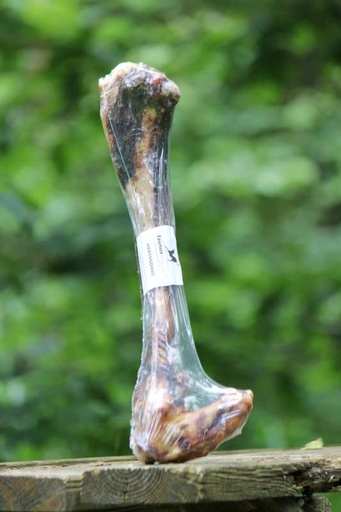 [HD] HIRSCHKNOCHEN