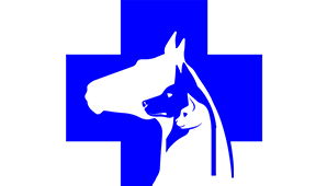 Dierenarts lebon willem bv