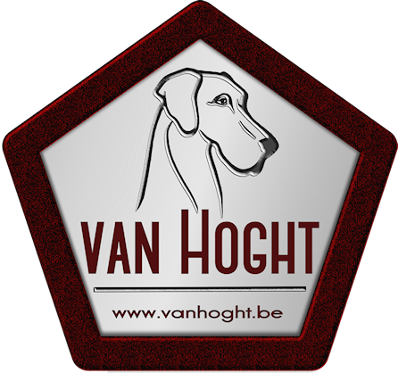 VAN HOGHT