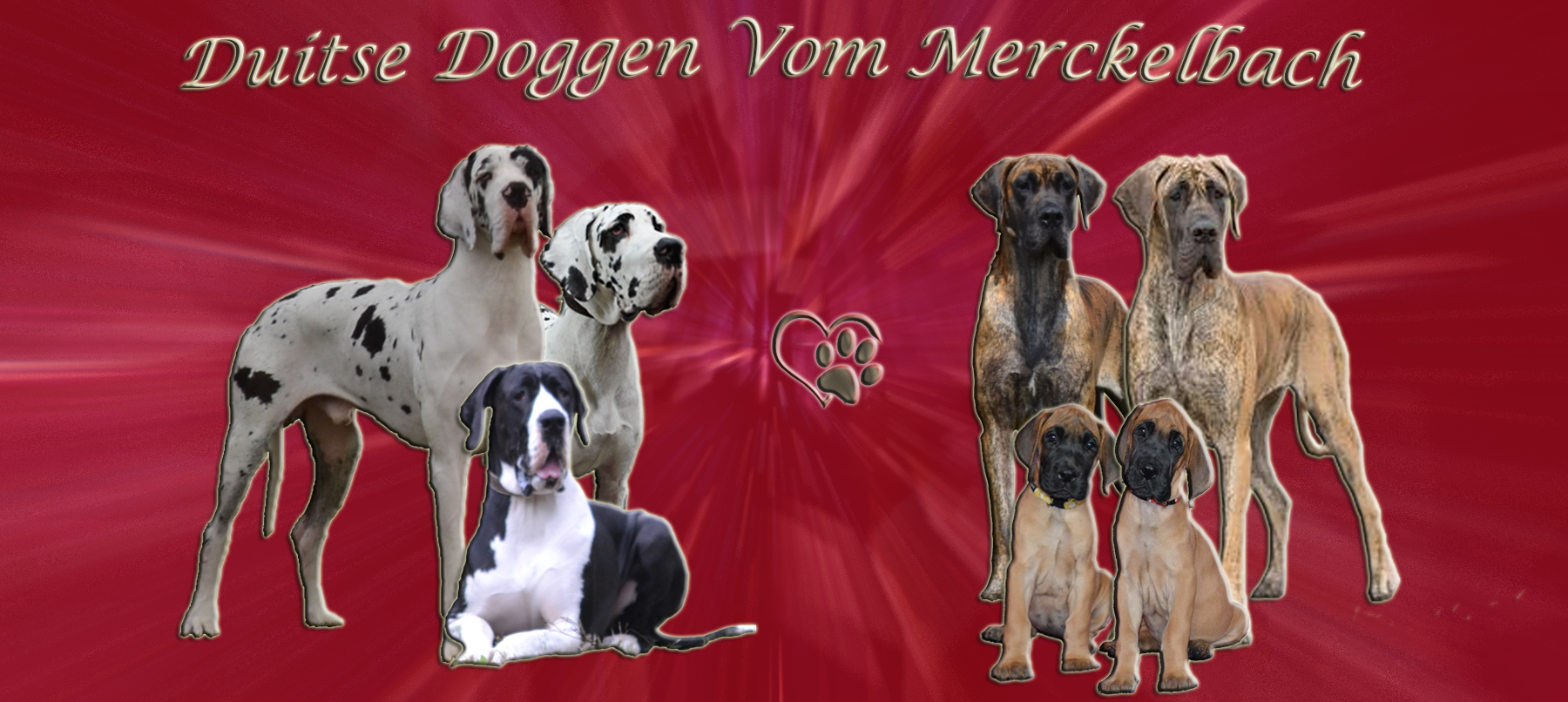VOM MERCKELBACH